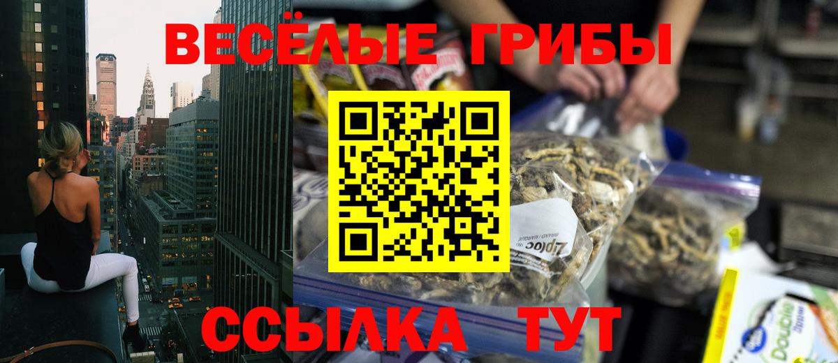 Лабинск  Псилоцибиновые грибы GOLDEN TEACHER  Галлюциногенные грибы ЛСД  Вход с VPN 