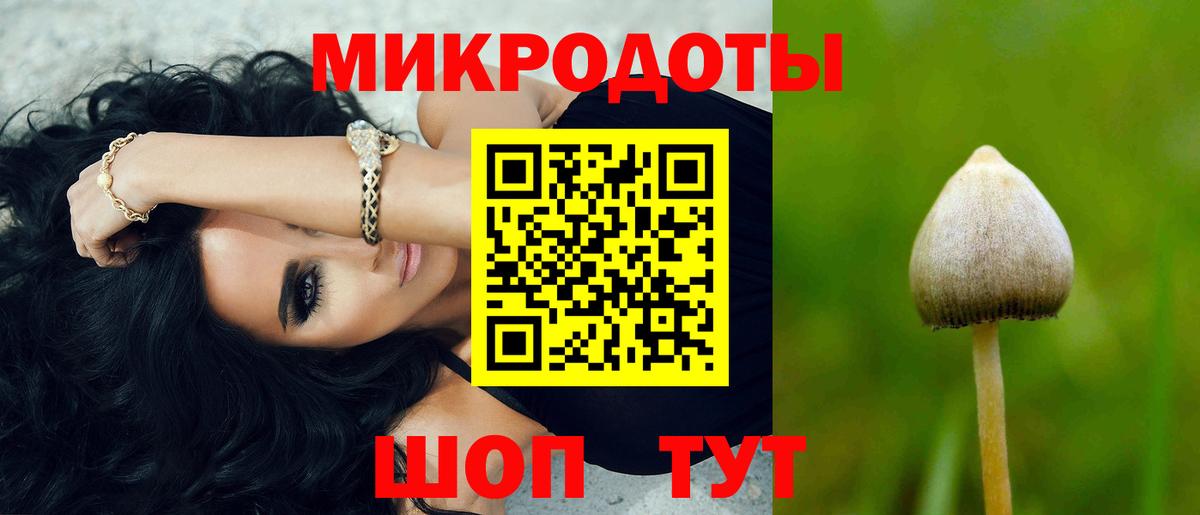 Псилоцибиновые грибы мицелий Лабинск